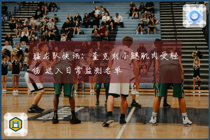 猛龙队快讯：奎克利小腿肌肉受轻伤 进入日常监测名单