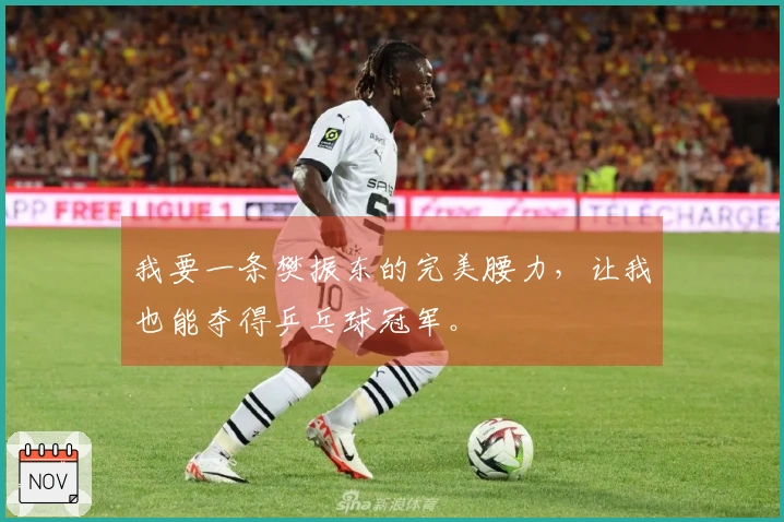 我要一条樊振东的完美腰力，让我也能夺得乒乓球冠军。
