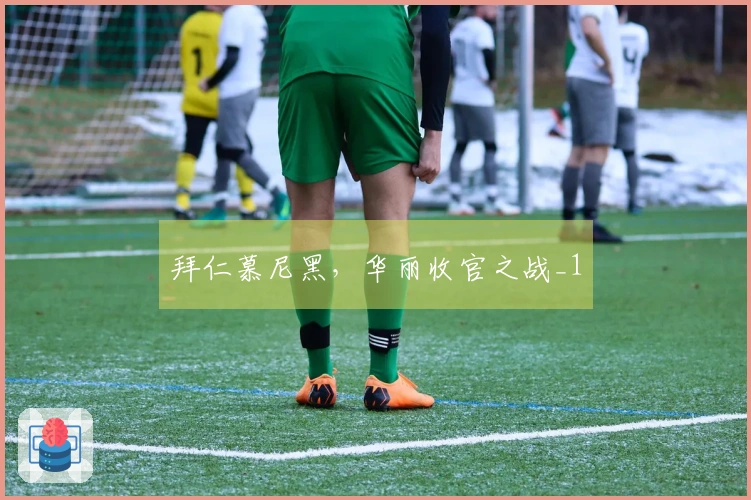拜仁慕尼黑，华丽收官之战_1