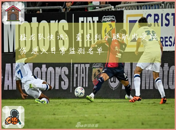 猛龙队快讯：奎克利小腿肌肉受轻伤 进入日常监测名单